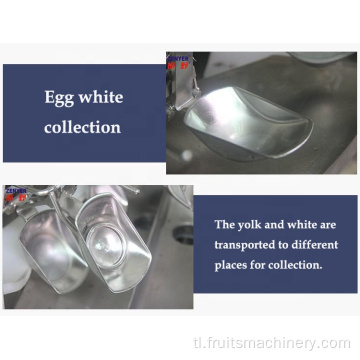 Malaking scale egg yolk egg puting separator